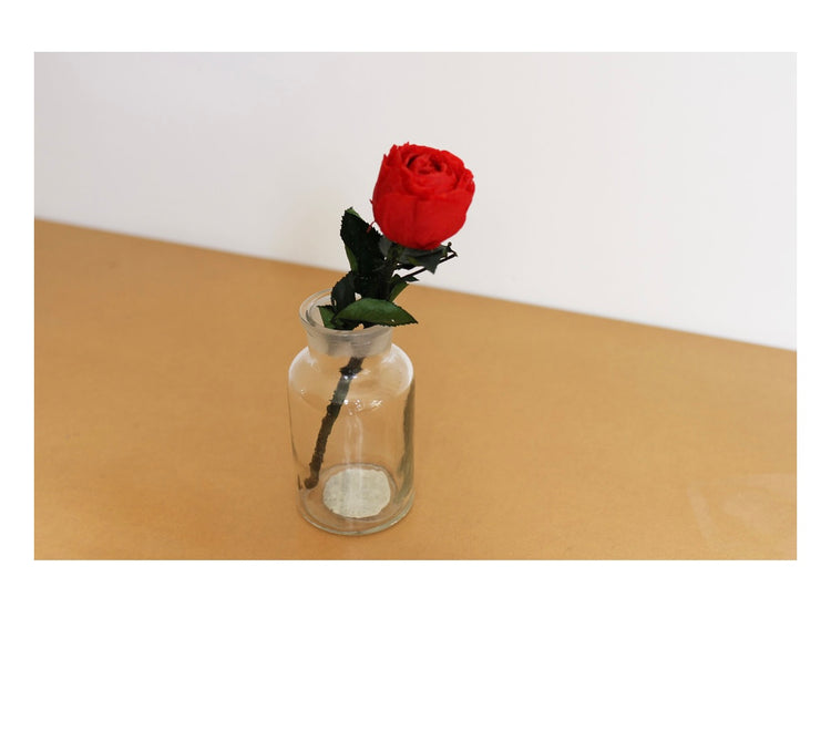 ステムローズ〜PINK〜