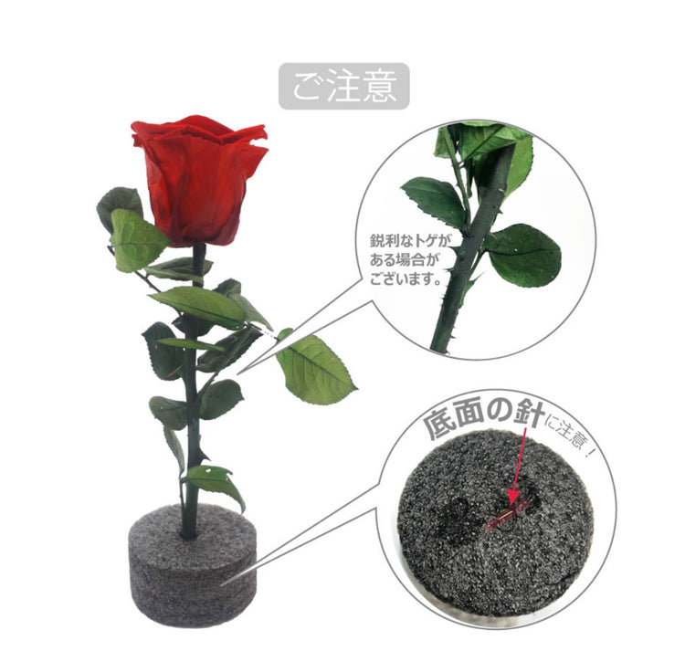 ステムローズ〜PINK〜