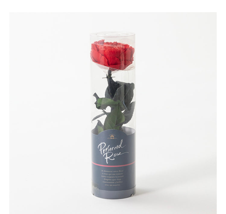 ステムローズ〜PINK〜