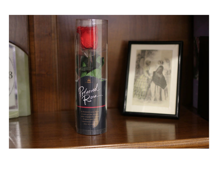 ステムローズ〜PINK〜