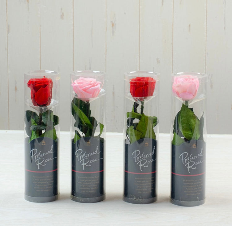 ステムローズ〜PINK〜