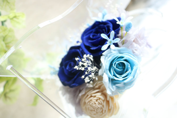 エルピアノ〜ロサアスル〜