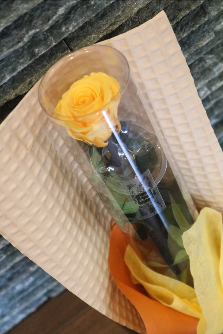 黄色のステムローズ〜preserved flower〜ラッピング付き