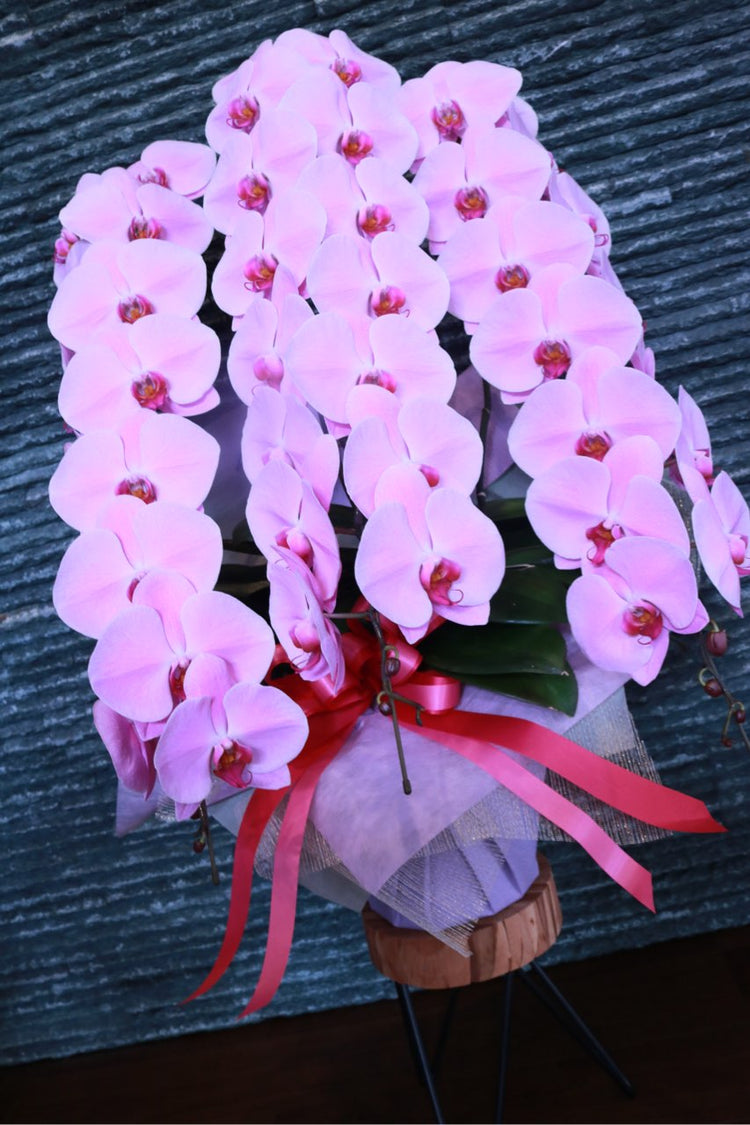 3本立ち胡蝶蘭‐ピンク【ラッピング&木札】