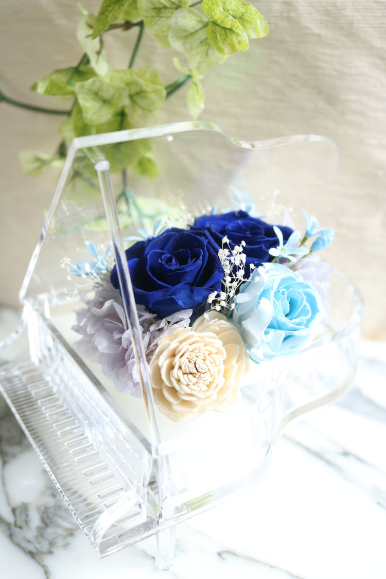 エルピアノ〜ロサアスル〜