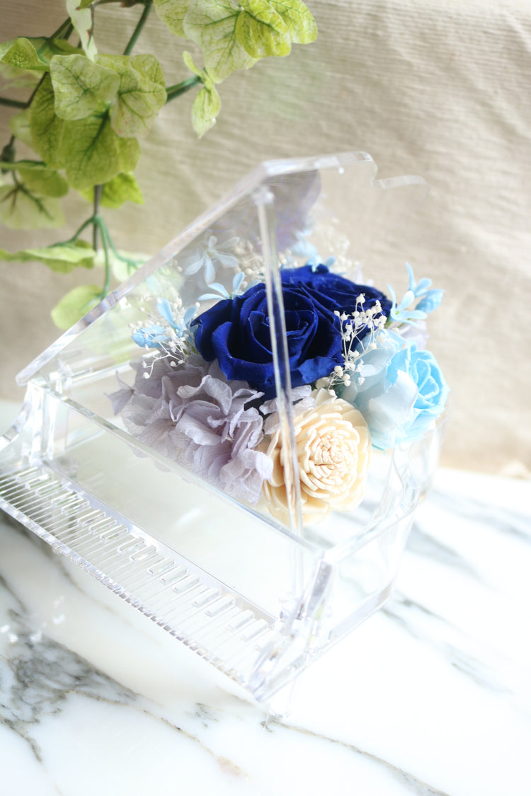 エルピアノ〜ロサアスル〜