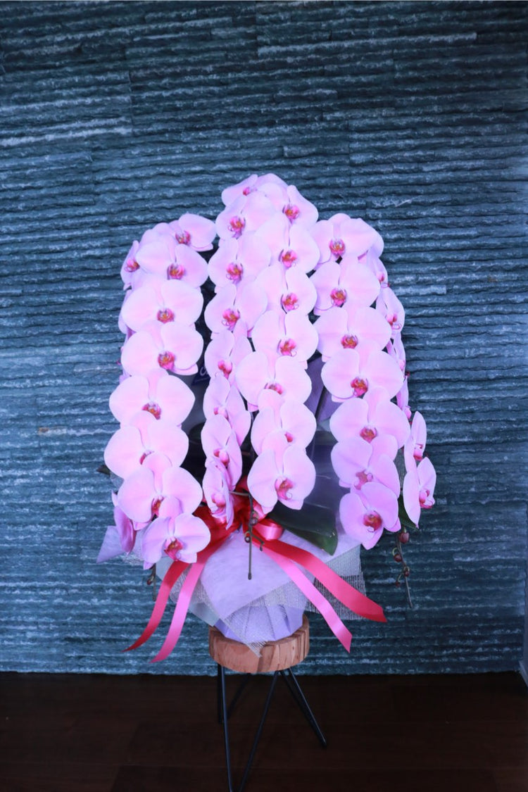 3本立ち胡蝶蘭‐ピンク【ラッピング&木札】