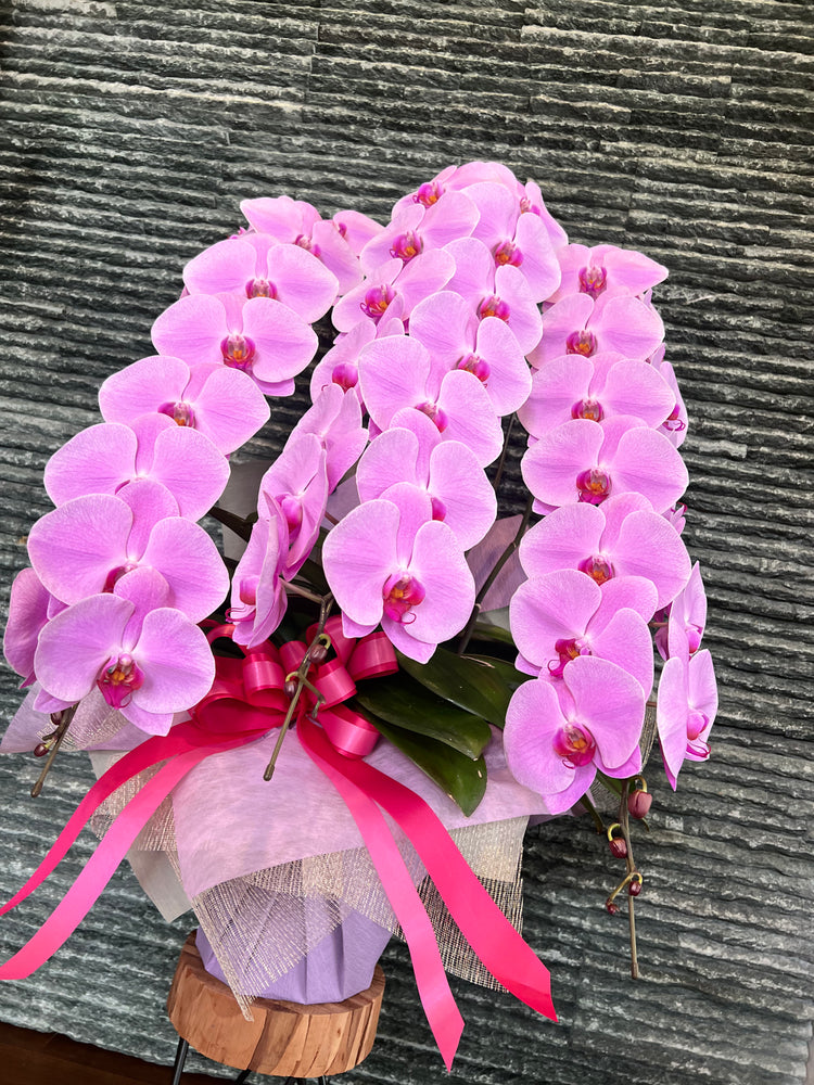 オールドローズクロック〜Old rose〜